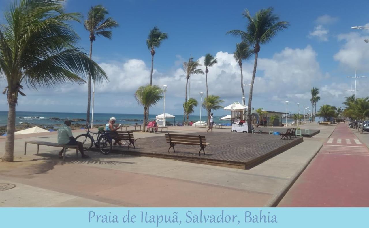 Quintal Da Sereia *